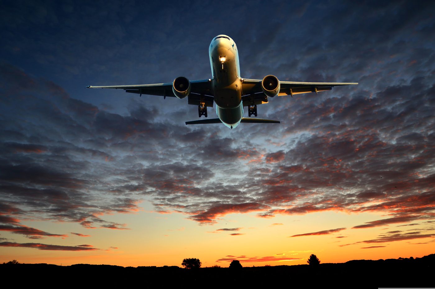 Air cargo freight